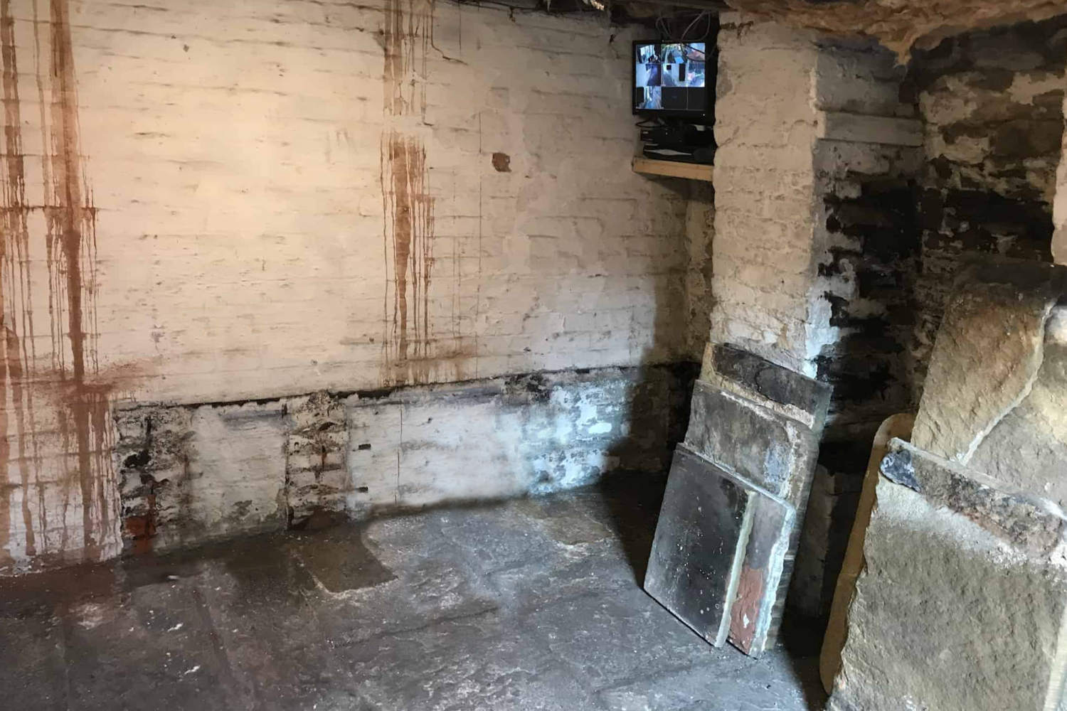 cellar conversion w and w building contractors